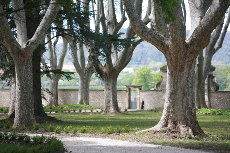 Célébrez votre Mariage au Château Saint Jean