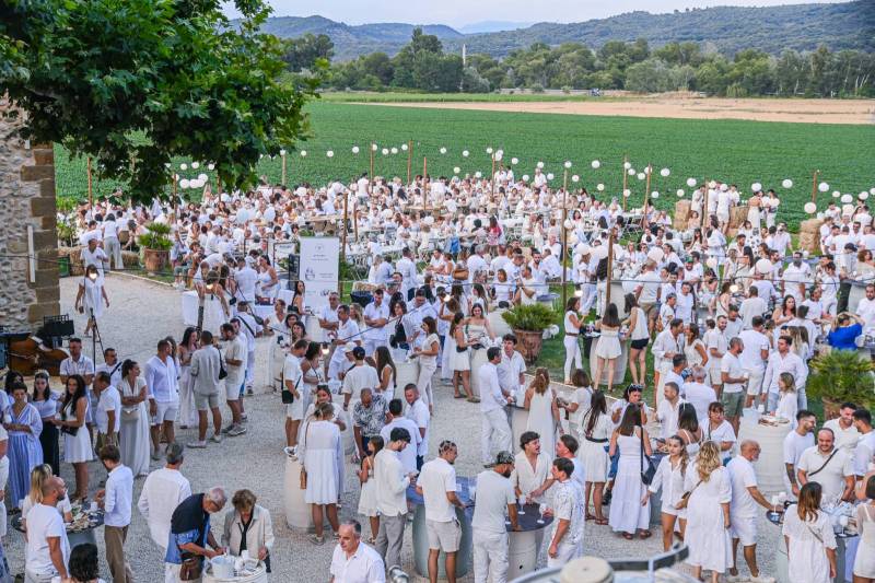 Programme Soirées Guinguette 2026: Une saison nouvelle, des émotions intactes
