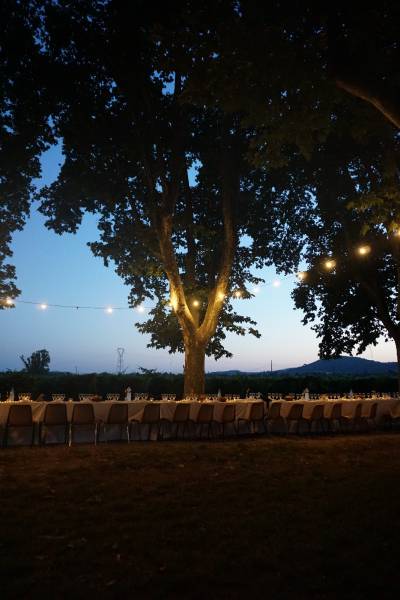 Célébrez votre Mariage au Château Saint Jean