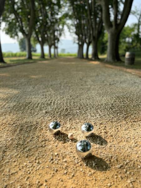 Mardi pétanque